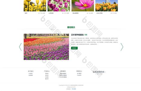 办公绿植租赁-重庆森海园花卉有限公司