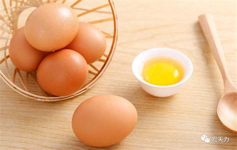 为什么鸡蛋竖着放更容易保鲜 - 知乎