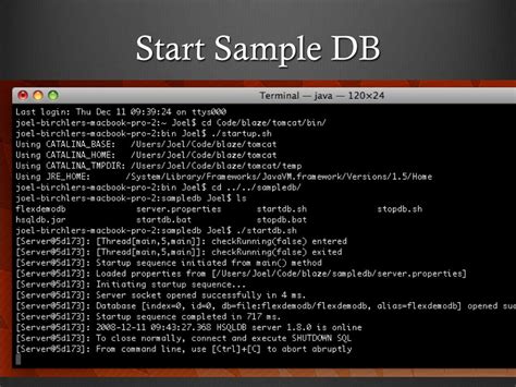 blazeDS，blazed啥意思