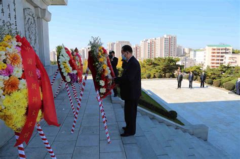 中国驻朝鲜大使馆向中朝友谊塔敬献花篮--国际--首页