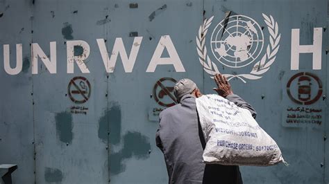 联合国近东巴勒斯坦难民救济和工程处在加沙地带丧生的工作人员人数已升至132人 - 2023年12月7日, 俄罗斯卫星通讯社