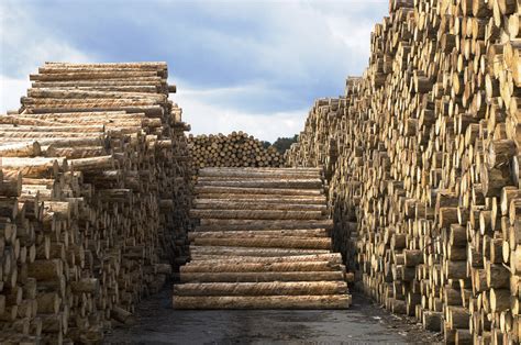 木材工厂图片大全-木材工厂高清图片下载-觅知网