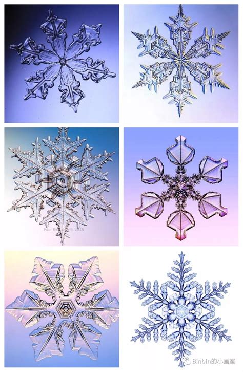 冬日雪花图片素材-正版创意图片401657210-摄图网