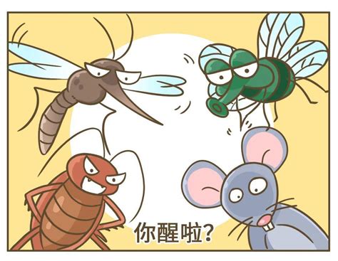 今天蚂蚁庄园4月21日庄园小课堂答案 下列选项中蚊子更喜欢叮咬哪类人|今天|蚂蚁-滚动读报-川北在线