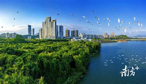 @增城，市政府工作报告“拍了拍”你_建设_广州_的发展