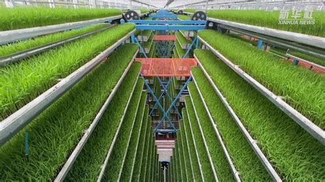 重庆永川：科技赋能农业生产_凤凰网视频_凤凰网