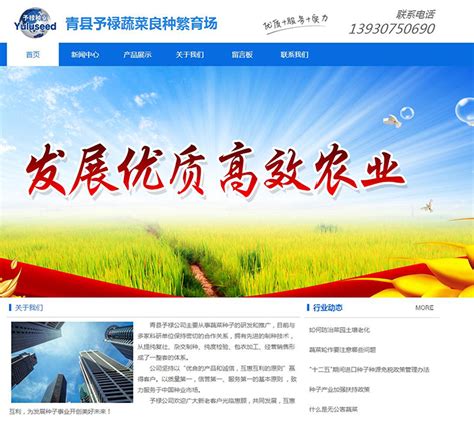 青县予禄蔬菜良种繁育场 - 沧州博川网络科技有限公司
