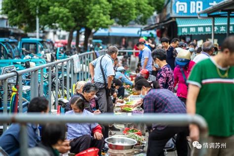 6点的西山早市，这些新鲜蔬菜你认识几个-名城苏州新闻中心