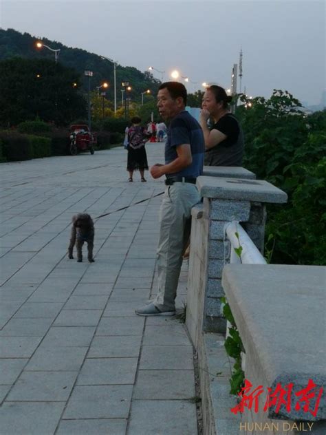 上海不牵绳遛狗将被抓拍处罚-牵绳遛狗的好处 - 见闻坊