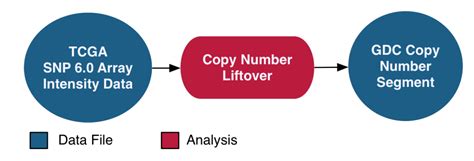 精彩回顾｜CNV检测的临床应用及实践_遗传_CNV-seq_安诺优