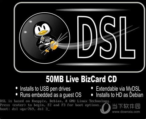 Damn Small Linux中文版|Damn Small Linux(轻量级Linux) V4.4.9 中文版下载_当下软件园