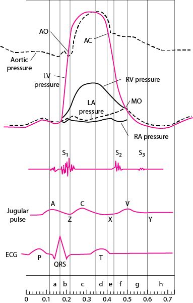 Figure: Diagram of the cardiac cycle, showing pressure curves of the ...