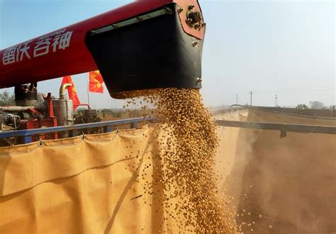 2022年中国大豆进口数量、进口金额及进口均价统计分析_华经情报网_华经产业研究院
