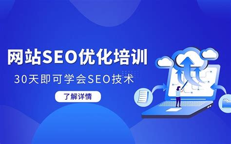 SEO优化培训-30天学会SEO技术-网络推广技术