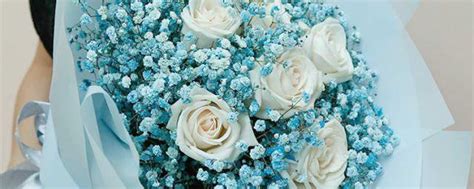 白玫瑰满天星代表什么意思？白玫瑰满天星花束图片-六朵花