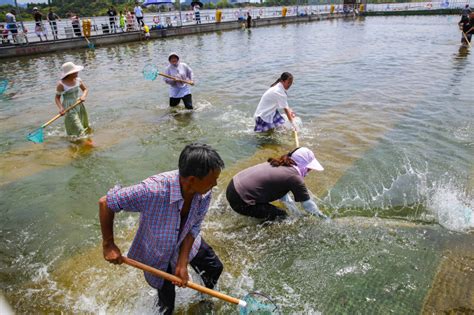 这里有条千岛湖最大的“鱼”！浙江淳安“渔文化”激起“经济浪花”——浙江在线