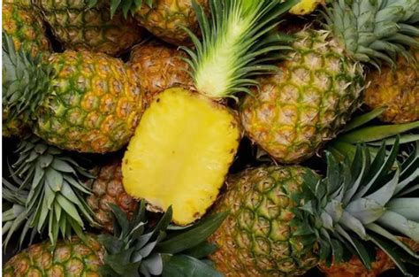 占台湾出口总量97％！大陆紧急暂停进口台湾菠萝，一菠萝专列开通 — 搜航网