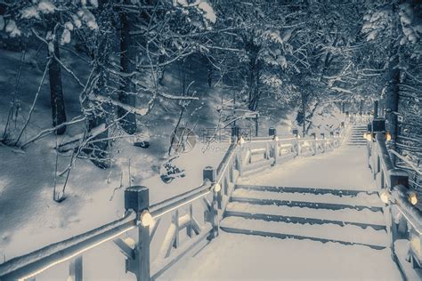 夜晚森林雪景图片素材_免费下载_jpg图片格式_VRF高清图片500773435_摄图网