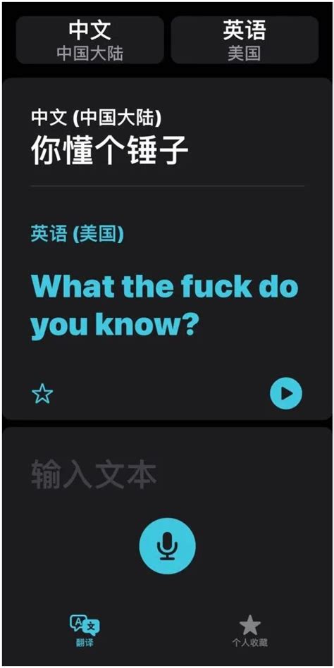 iOS14自带的翻译（Translate）应用操作技巧 – 源码巴士
