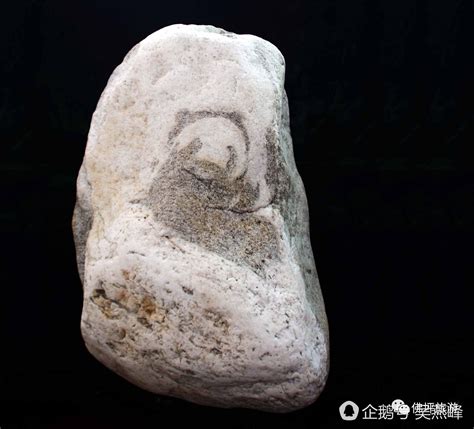 熊猫奇石底座,2亿熊猫奇石图片,熊猫奇石头_大山谷图库