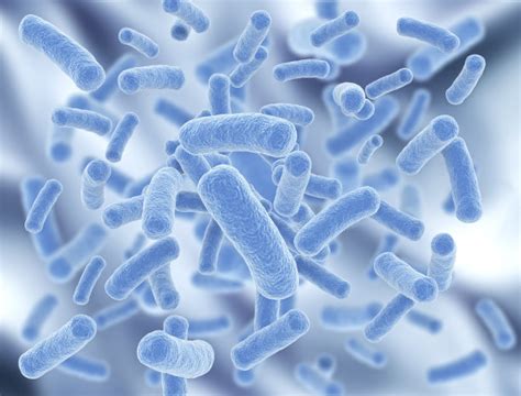 食品微生物检验GB4789.2-2016菌落总数测定及注意事项 - 微生物安全与健康网