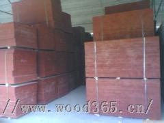 廊坊建筑模板,清水模板，木模板厂家-霸州市隆嘉木业有限公司