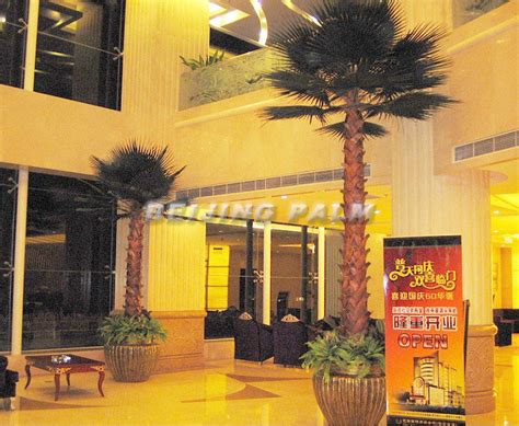 张家口艺海商务会馆 - 室内保鲜棕榈树 - 北京棕榈树技术开发有限公司