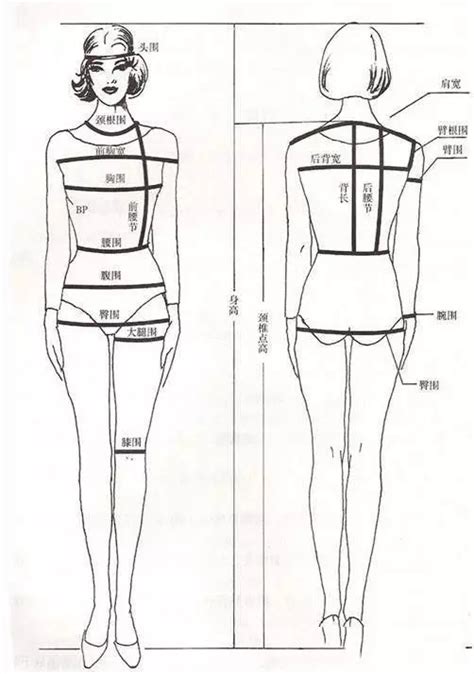 版型基础 | 各部位尺寸在服装版型中的作用-服装服装制版技术-CFW服装设计网