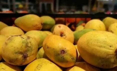 芒果好吃且营养高，吃芒果有6大好处与4个禁忌，怎么吃才最好？