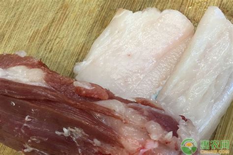 现在广东猪肉多少钱一斤？ - 惠农网