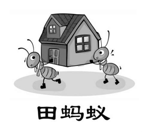 南京蚂蚁搬家公司收费与其他搬家公司有什么不同？ - 知乎