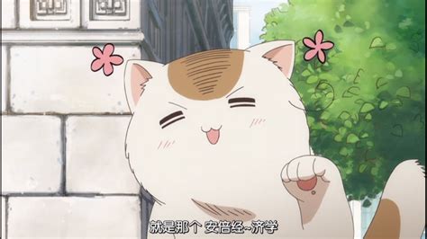 喵塔利亚图片