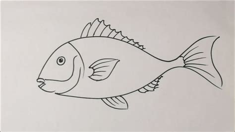 亲子简笔画鱼素材｜学画18种不同卡通画鱼，简单实用|简笔画|鱼|卡通画_新浪网