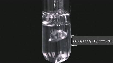 【初中化学】澄清石灰水与过量二氧化碳反应