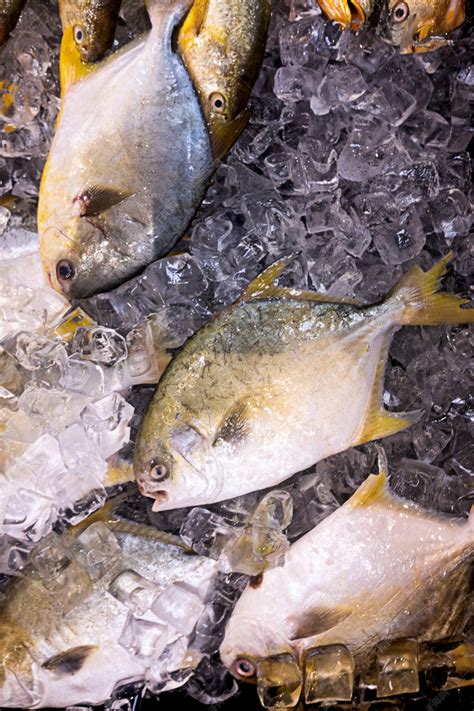 市场上的冰鲜鱼高清图片下载-正版图片504973119-摄图网