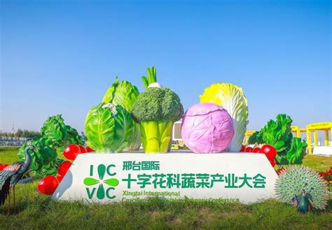 第三届邢台国际十字花科蔬菜产业大会开幕__财经头条