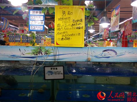 石家庄多个超市活鱼已上架 恢复正常售卖_手机凤凰网