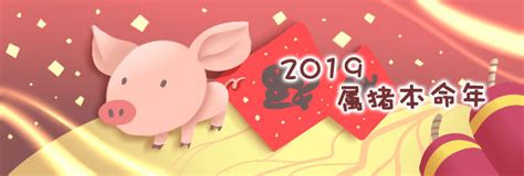 2019年猪猪年素材图片免费下载_高清psd_千库网(图片编号11010635)