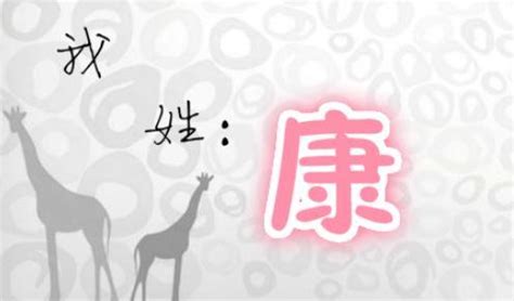 我姓康非主流头像