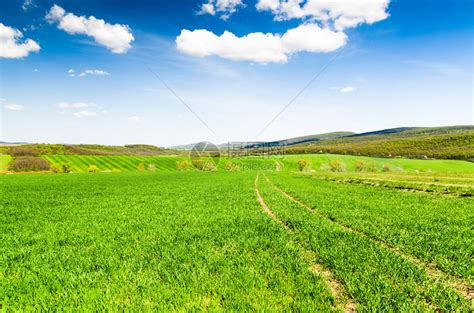 阳光明媚的夏日美丽的绿色田野景观高清图片下载-正版图片504887211-摄图网