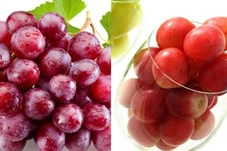 葡萄的功效与作用、食用方法及禁忌_健康大百科