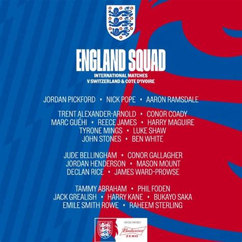 英格兰国家队大名单：凯恩领衔，马奎尔、本-怀特、S-罗在列-直播吧zhibo8.cc