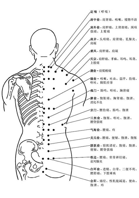 人体后背穴道图解知识详解_中医药人才网