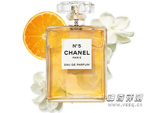Chanel香奈儿香水哪款最好闻又持久 香奈儿最受欢迎的十款香水 - 神奇评测