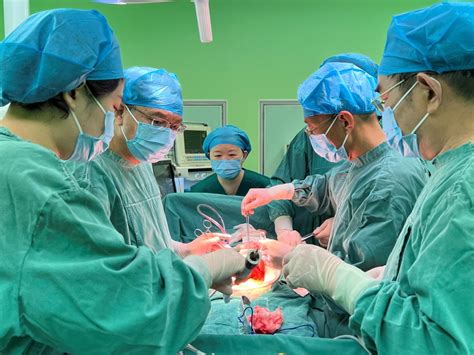 北大人民医院、号贩子电话,圈子口碑最好100%有号!重大新闻的简单介绍