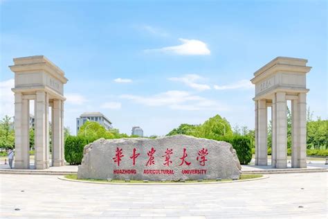 华中农业大学-VR全景城市