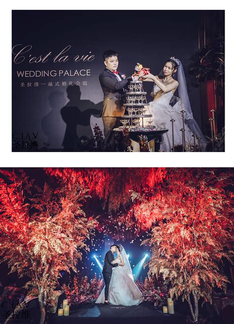 北京婚庆婚礼策划 室内森系草坪清新婚礼布… - 堆糖，美图壁纸兴趣社区