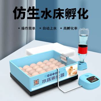 迷你4枚6枚小鸡孵蛋器小型家用科教孵化器跨境智能全自动孵蛋机-阿里巴巴