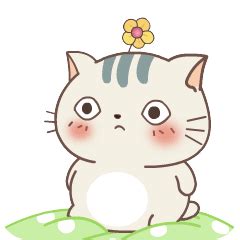 贱猫图片
