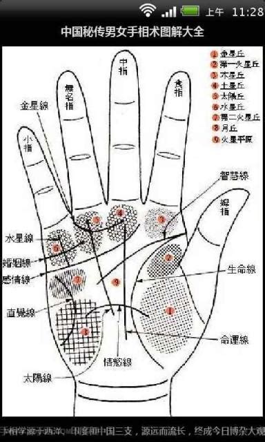 手相图解大全 财富线 财富线手相图解-周易算命网